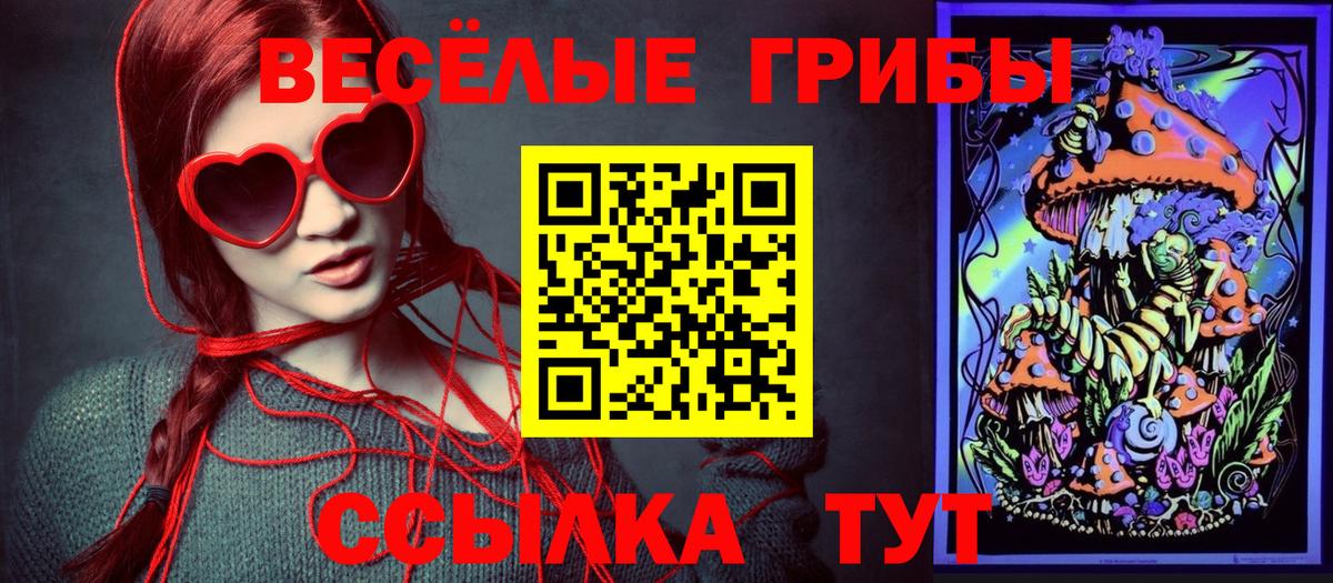 цена   Галлюциногенные грибы Cubensis  Вход с VPN  Новоалтайск  Галлюциногенные грибы мухоморы 
